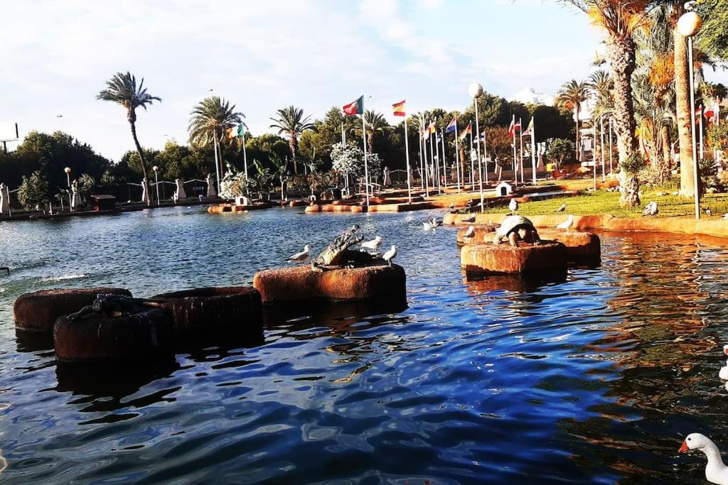 Adventure Harbour Daire Torrevieja Dış mekan fotoğraf