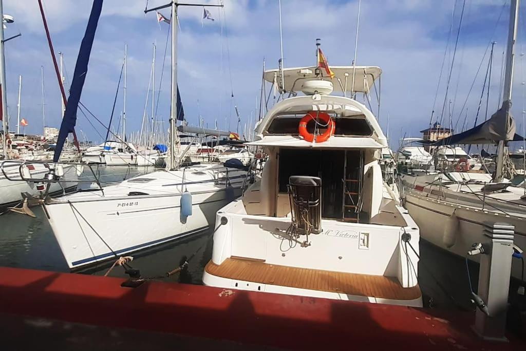 Adventure Harbour Daire Torrevieja Dış mekan fotoğraf