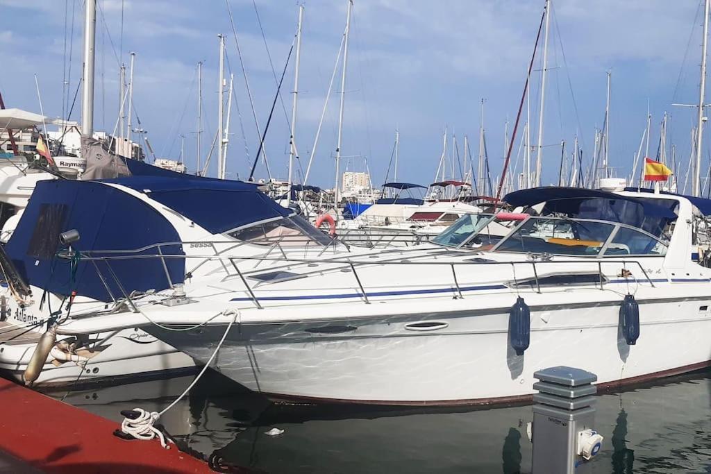 Adventure Harbour Daire Torrevieja Dış mekan fotoğraf
