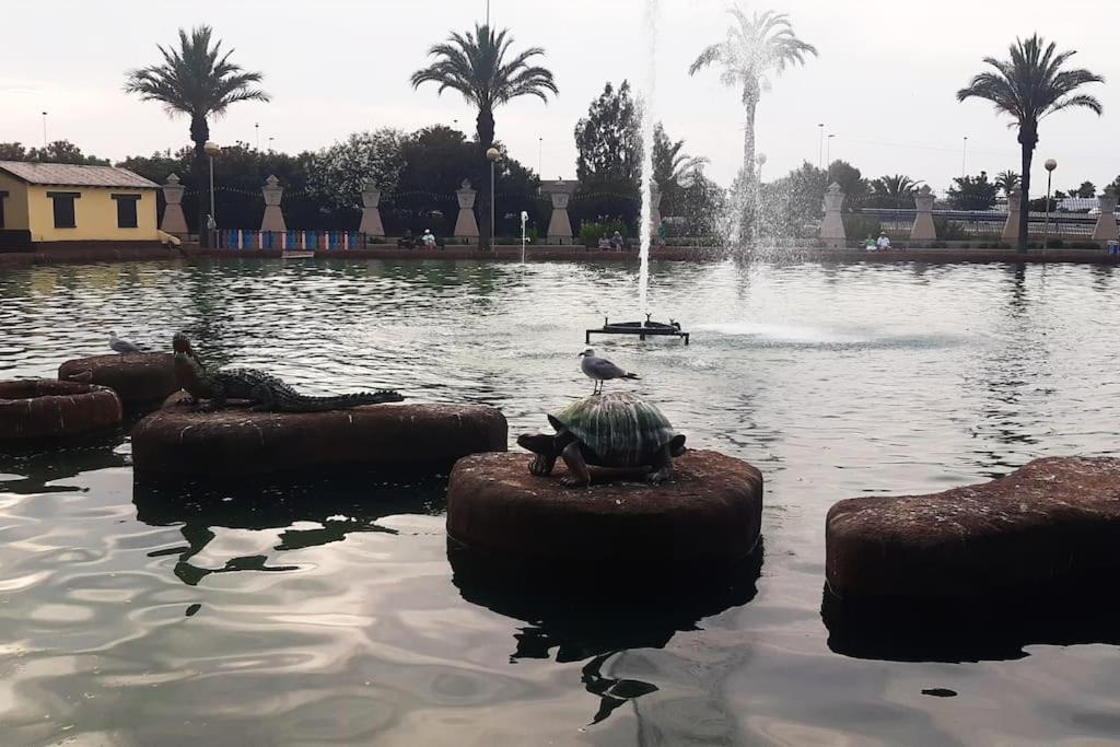 Adventure Harbour Daire Torrevieja Dış mekan fotoğraf