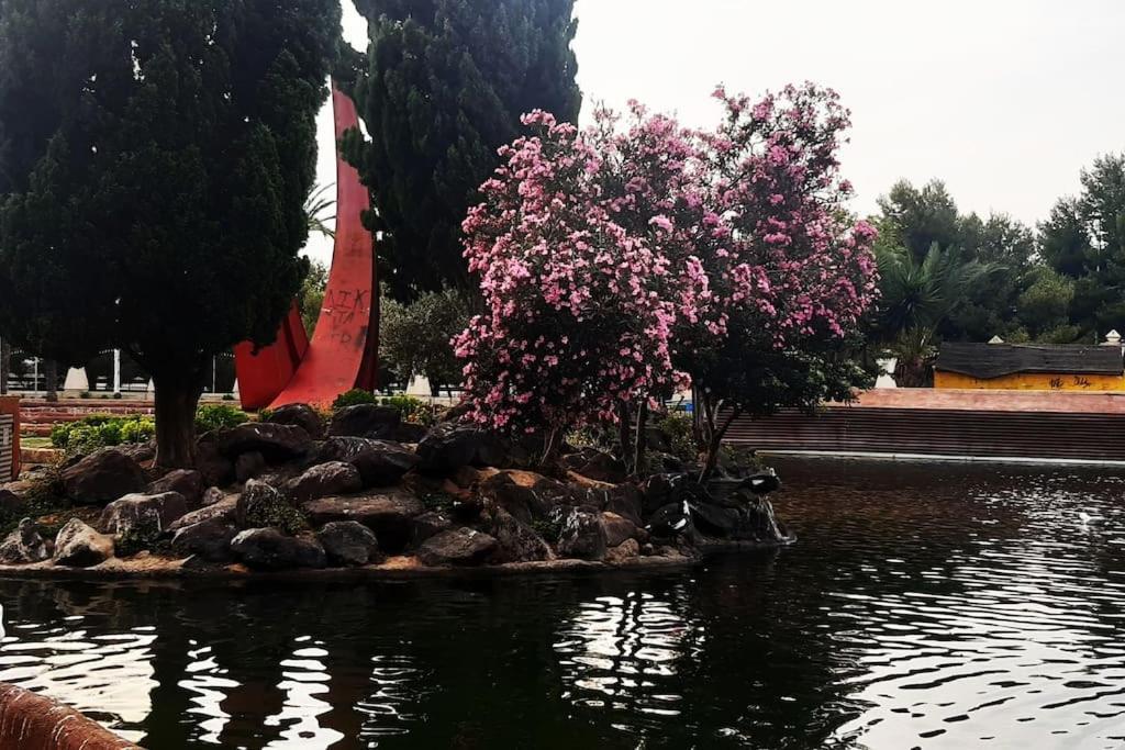 Adventure Harbour Daire Torrevieja Dış mekan fotoğraf